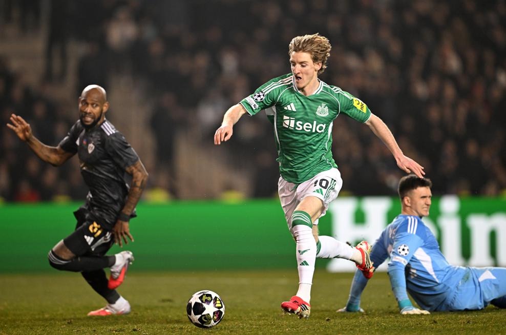 กอร์ดอน